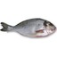 Pesce