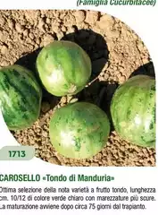 Carosello