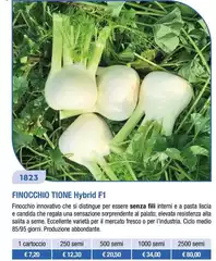Finocchio Tione Hybrid F1