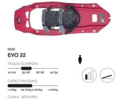 Evo 22
