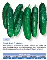 Cetrilolo 