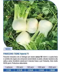 Finocchio Tione Hybrid F1