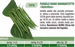 Fagiolo Nano Mangiatuto Fagiolo Nano Mangiatuto