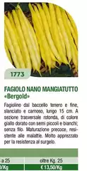 Fagiolo Nano Mangiatuto Fagiolo Nano Mangiatuto