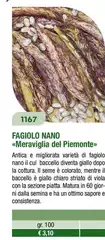 Fagiolo Nano Fagiolo Nano