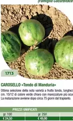 Carosello