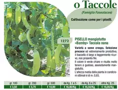 Pisello Mangiautto Bamby Taccola Nana