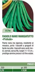 Fagiolo Nano Mangiatuto Fagiolo Nano Mangiatuto