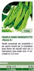 Assai - Fagiolo Nano Mangiatuto Assai - Fagiolo Nano Mangiatuto