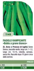 Fagiolo Rampicante Fagiolo Rampicante