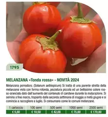 Melanzana