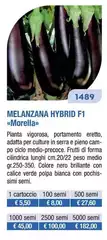 Melanzana Hybrid F1