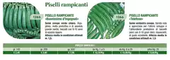 Piselli Rampicante
