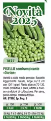 Pisello Semirapicante Dorian