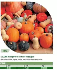 Zucche