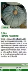Beretta  