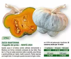 Zucca Mantovana 
