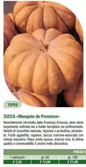 Zucca