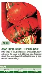 Zucca