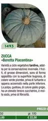 Beretta  