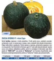 Zucca Hybrid F1