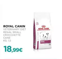 Royal Canin - Veterinary Diet Renal Small Crocchette Cane