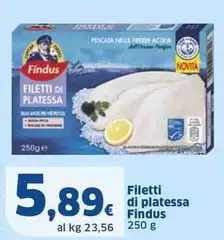 Findus - Filetti Di Platessa