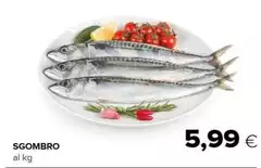 Sgombro