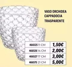 Orchidea - Vaso  Cappadocia Trasparente