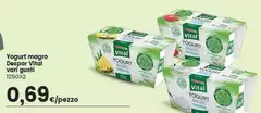 magro - Yogurt Magro Vital