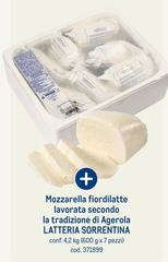 Latteria Soresina - Mozzarella Fiordilatte Lavorata Secondo La Tradizione Di Agrotola
