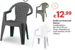 Sedia Con Braccioli Norma