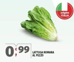 Origine - Lattuga Romana Al Pezzo