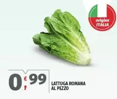 Origine - Lattuga Romana Al Pezzo