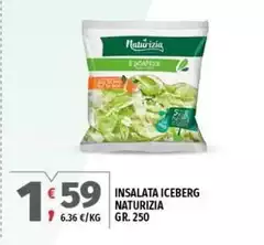 Naturizia - Insalata Iceberg