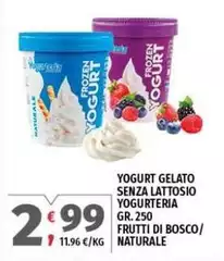 Bosco - Yogurt Gelato Senza Lattosio Yogurteria Frutti Di / Naturale