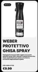 Weber - Protettivo Ghisa Spray