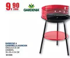 Barbecue A Carbonella Asuncion