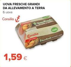 Consilia - Uova Fresche Grandi Da Allevamento A Terra