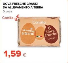 Consilia - Uova Fresche Grandi Da Allevamento A Terra