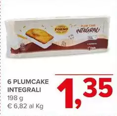 6 Plumcake Integrali