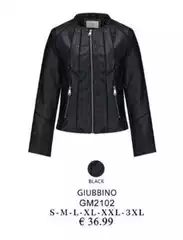 Giubbino Gm2102