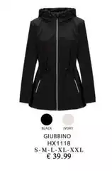 Giubbino