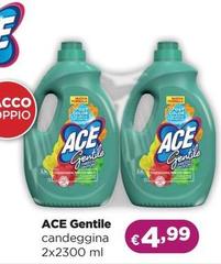 Ace - Gentile