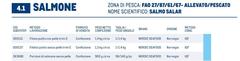 Netto - Salmone