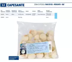 Netto - Pescato - IQF Netto - Pescato - IQF