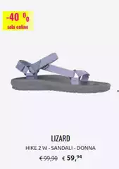 Lizard 
