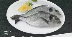 Orata