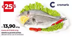 Cromaris - Orate Allevate Extra