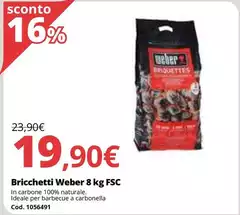 Weber - Bricchetti 8 Kg Fsc
